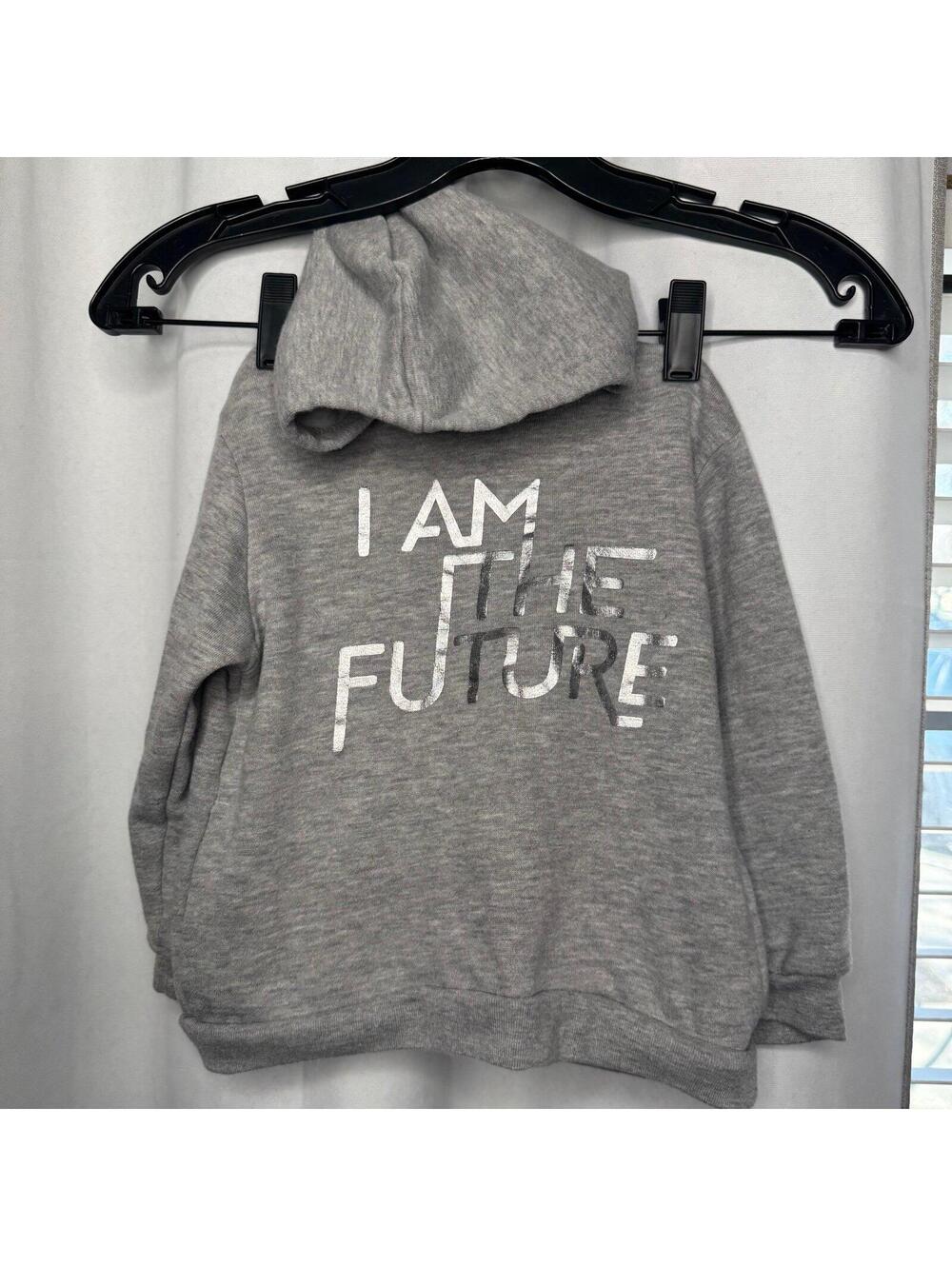 Toddler girl I am the future gray pullover hoodie